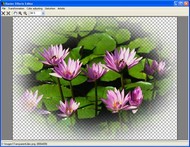 Aurigma Graphics Processor screenshot